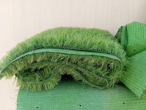 Grass, shades & big Saloon