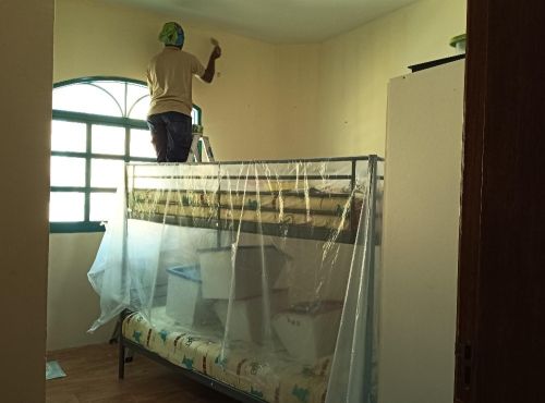 painting and Door Varnish  work