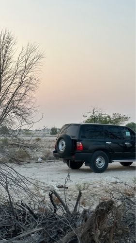 ستاندر ٢٠٠١ 