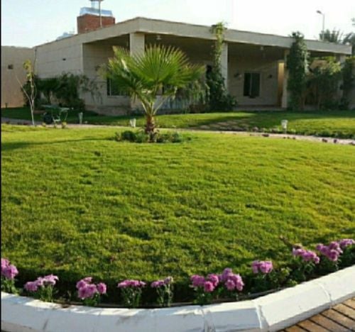 تنظيف وترتيب وتنسيق الحدائق
