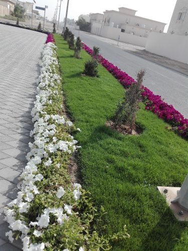 زراعه وديكور الحدائق