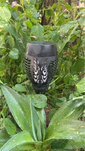 solar light