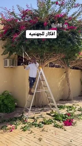 مزارع ترتيب الحدائق ومتابعه شهريه