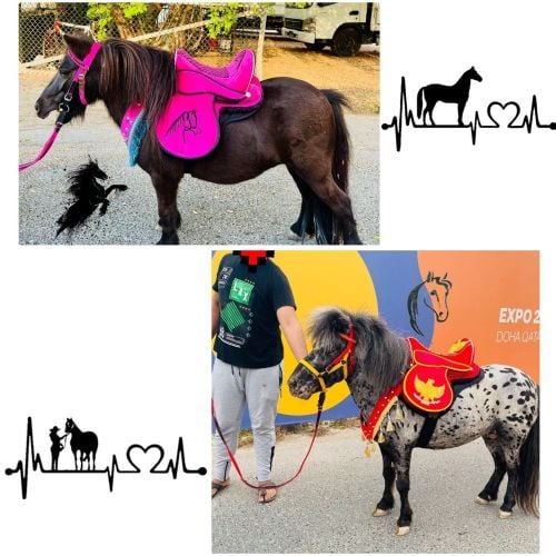 للايجار بوني للاطفال طيب جدآ