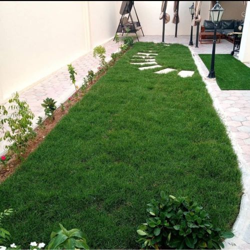 مزراع ومنسق حدائق 