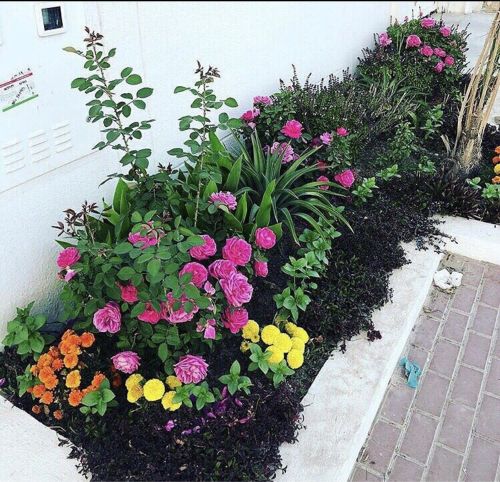 مزراع ومنسق حدايق