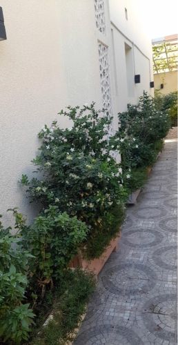 مزراع ومنسق حدائق 