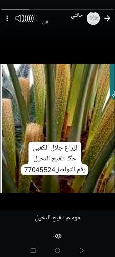 زراع الحدائق والنخیل والاشجار