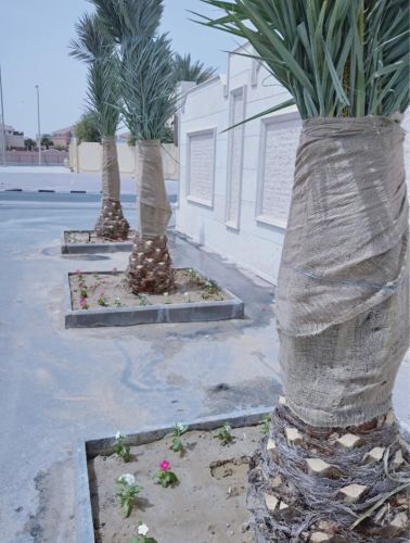مزراع ومنسق حدايق
