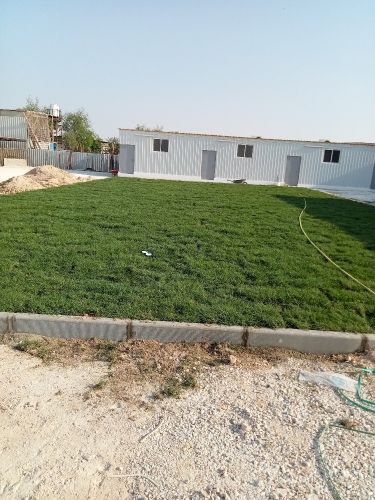 زراعة وتنسيق الحدايق