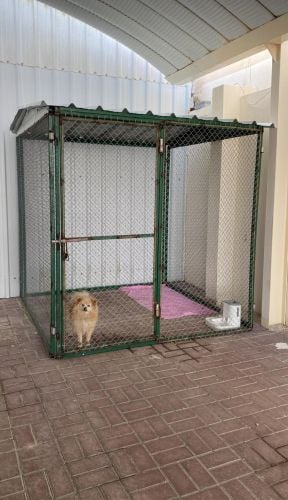 بيت الطيور 2