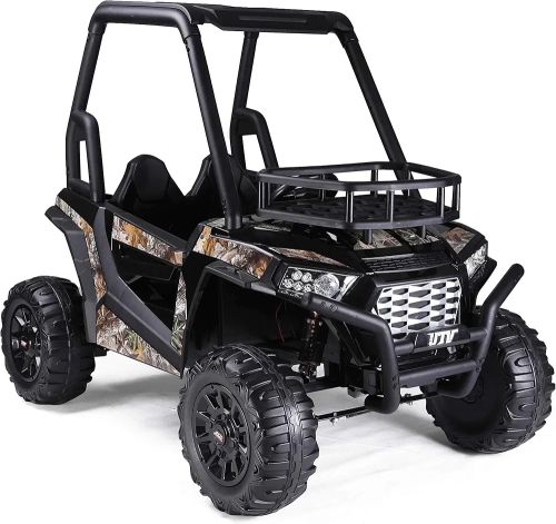 Buggy car 24 volts battery