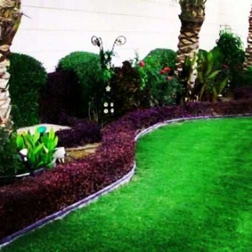 ديكور حدائق