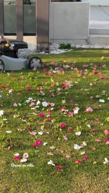 تنظيف وترتيب الحدائق