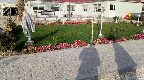 ورد وعشب.