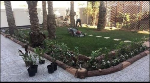 تنظيف وقص الحدائق