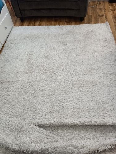 carpet....