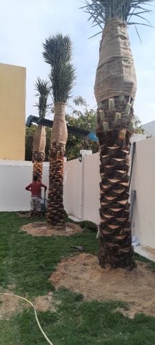 توريد وتركيب