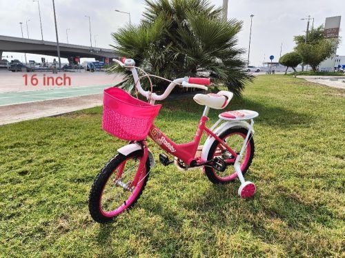 16 bike bicycle gail