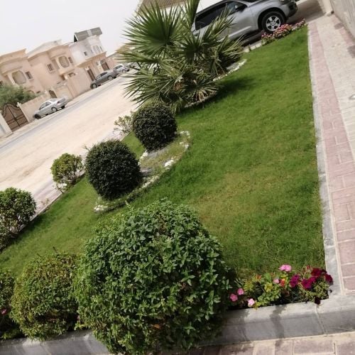 للزراعة المنزلية