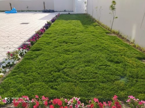 زراعة الحدائق