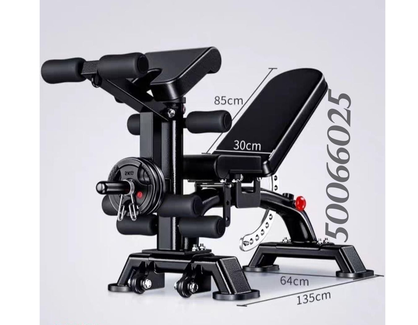 bench for gym