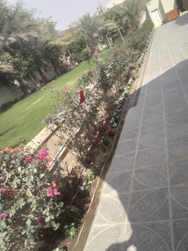 الورود