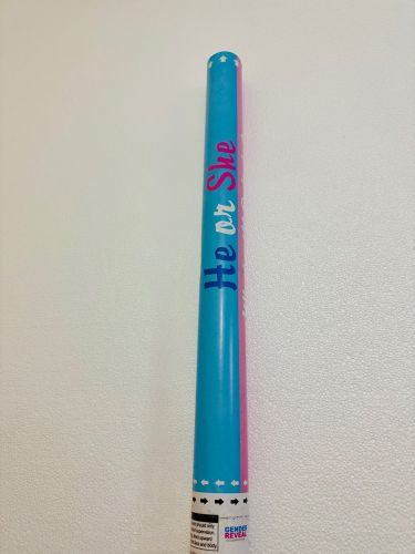 Gender reveal party shooter 