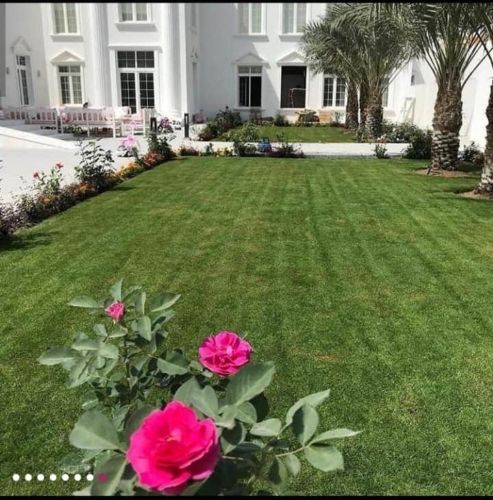 قص الحشيش وتنسيق الحدائق