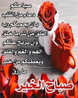 نقل أغراض