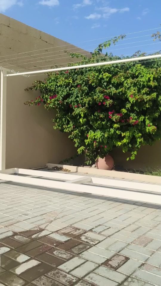 علاق