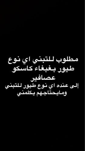 مطلوب اي نوع طير للتبني 