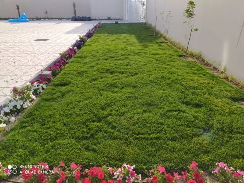 زراعة حدائق