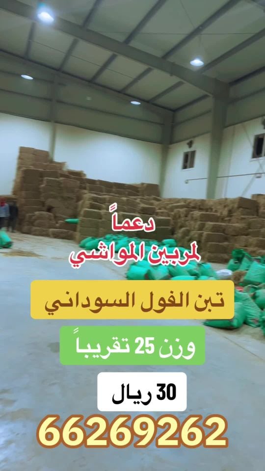 تبن فول سوداني 