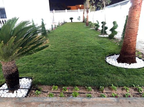 زراعه العشب