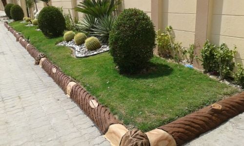 ترتيب الحديقه