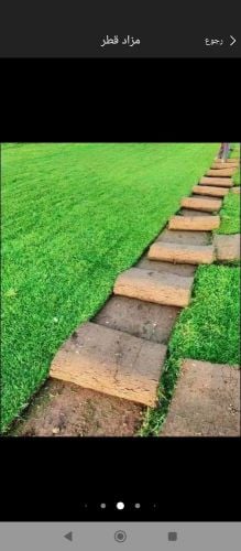 عشب طبيعي وصناعي للبيع