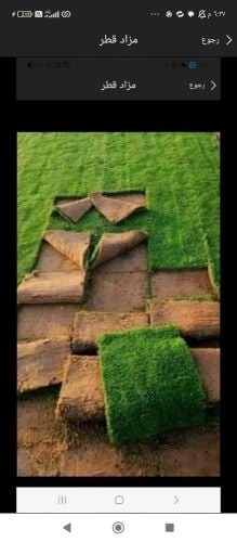 توريد وتركيب العشب