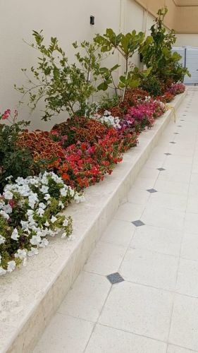 زراعة الحدائق