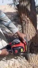 مزارع ومقطع اشجار