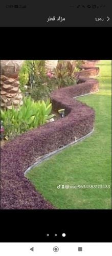 منسق حدائق