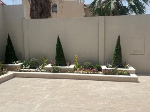الاحواض