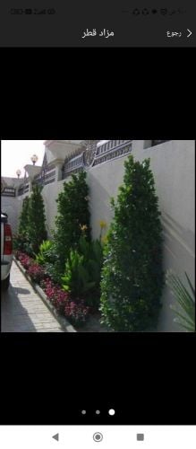 تنسيق الحدائق والعنايه بها