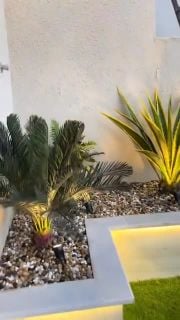 زراعه وديكور