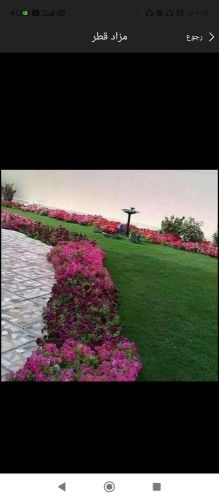 ورود مستديمه