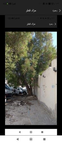 مزارع ومقطع اشجار