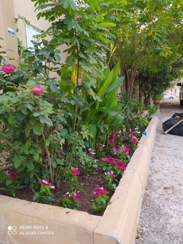 منسق حدائق