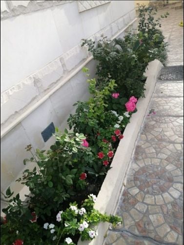 خبره ممتازه جدا