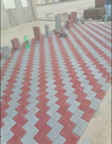مقاولات