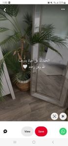 الدوحة